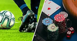 Descubra tudo sobre o 656bet e suas ofertas incríveis! Descubra tudo sobre o 656bet e suas ofertas incríveis!